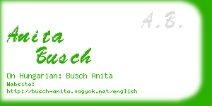 anita busch business card